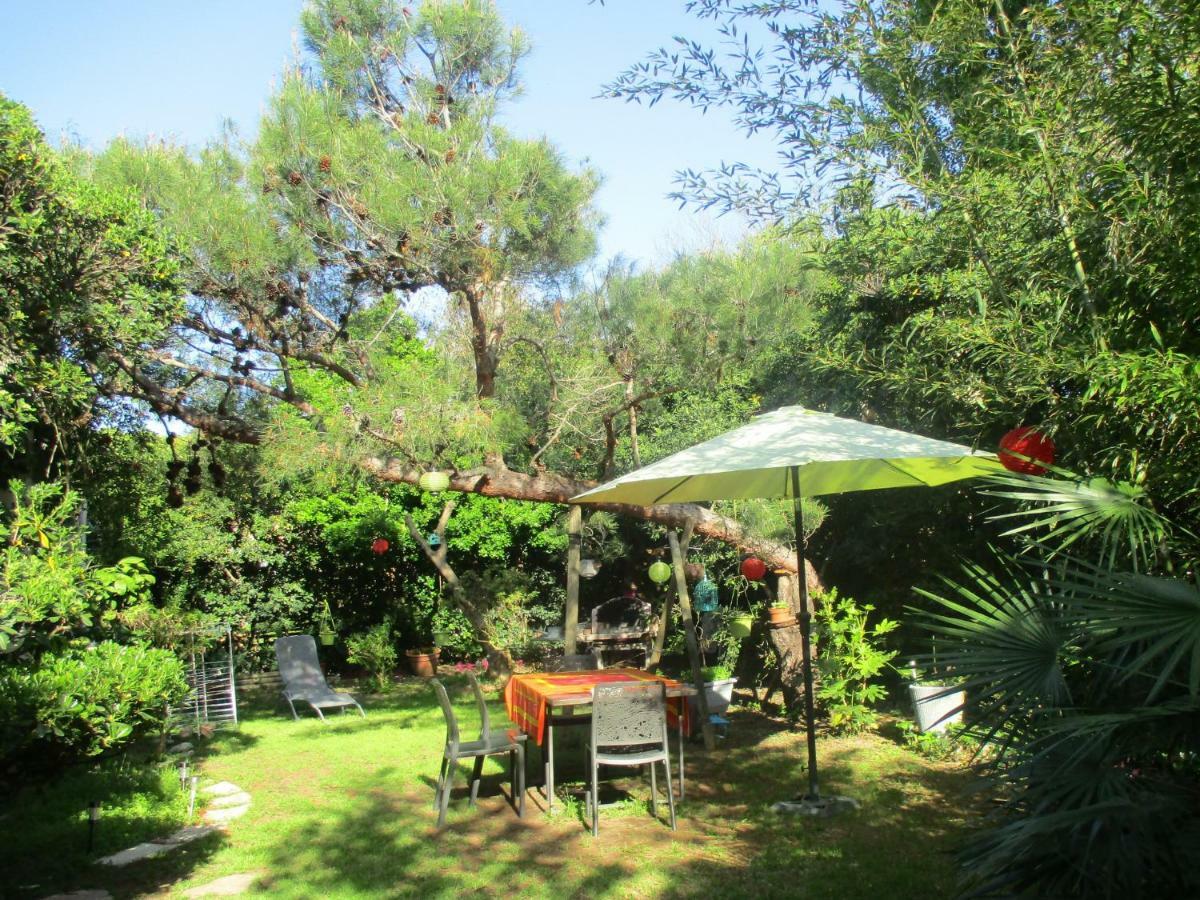 Jardin Et Bambous, Studio Cosy, Classe 2 Etoiles Marseillan  Buitenkant foto