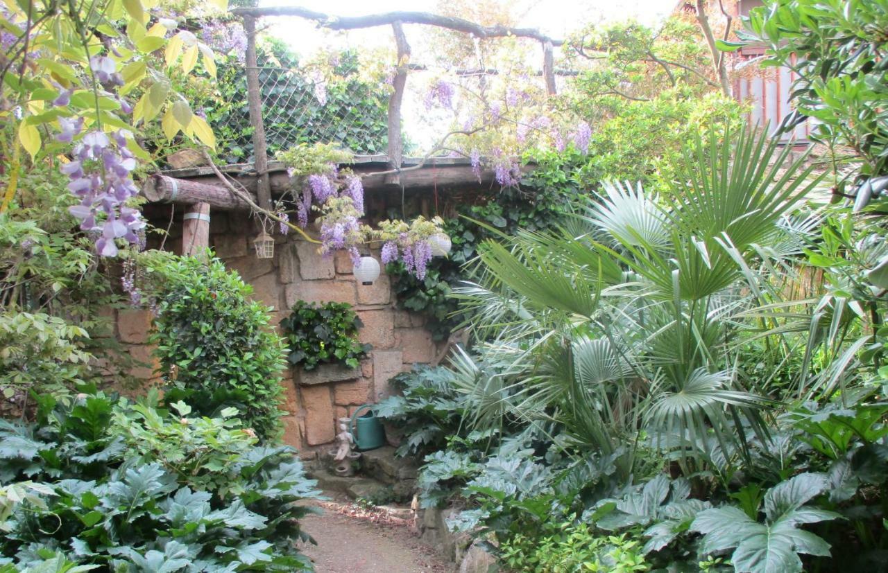 Jardin Et Bambous, Studio Cosy, Classe 2 Etoiles Marseillan  Buitenkant foto