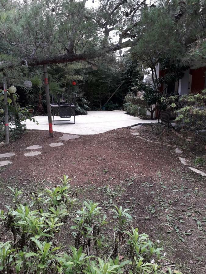 Jardin Et Bambous, Studio Cosy, Classe 2 Etoiles Marseillan  Buitenkant foto
