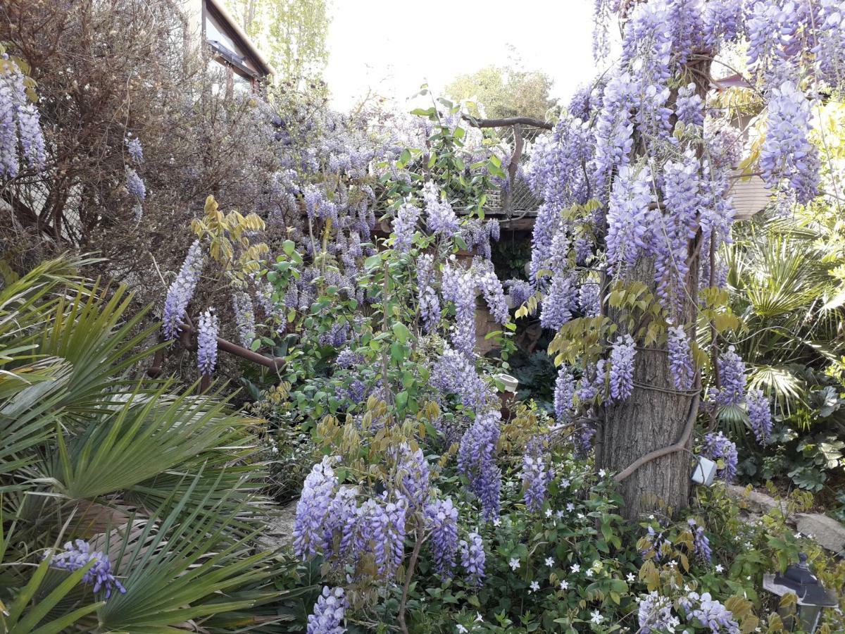 Jardin Et Bambous, Studio Cosy, Classe 2 Etoiles Marseillan  Buitenkant foto